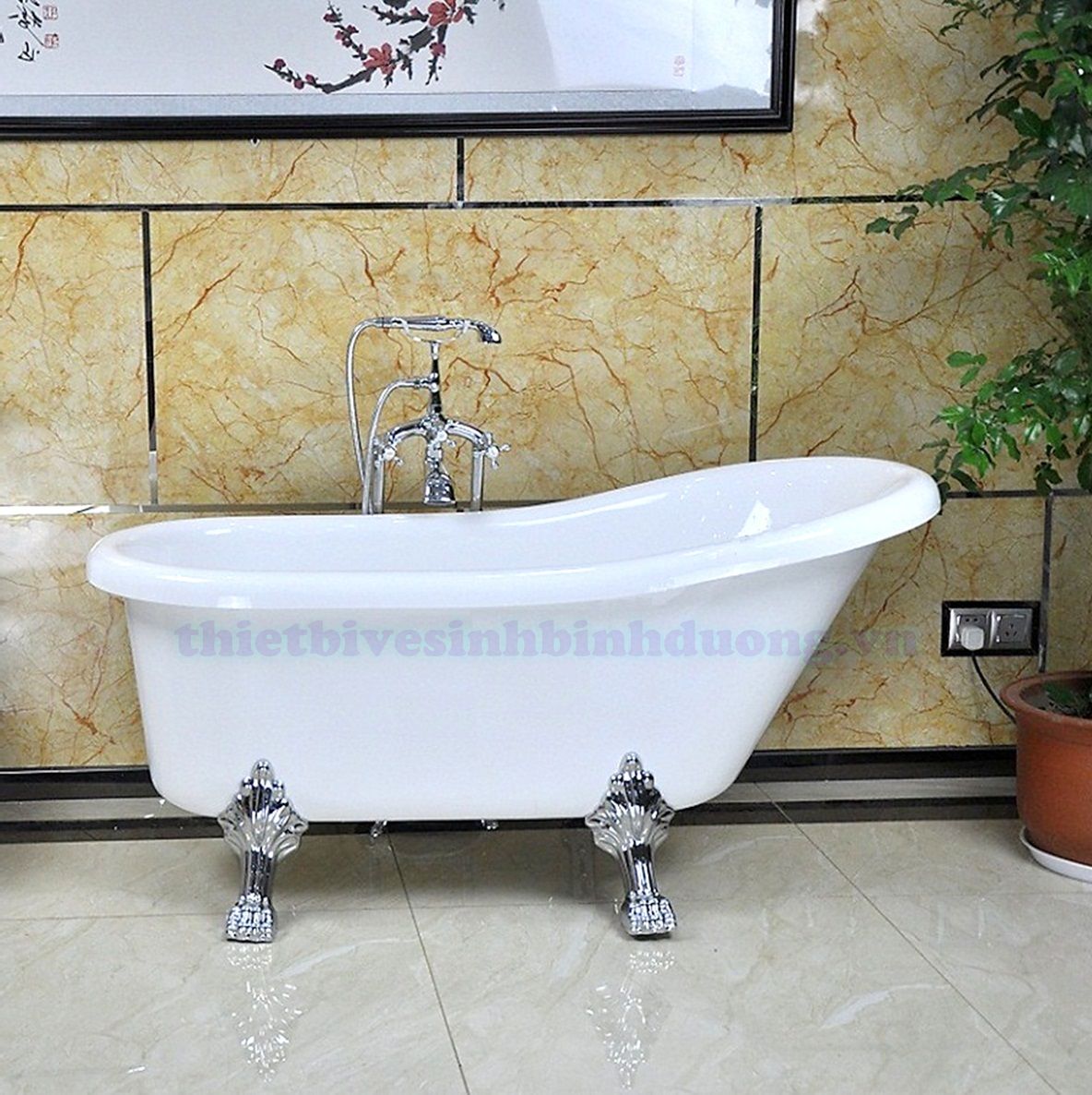 Bồn tắm chân rồng Asia Dragon BT01780